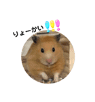 Y.animals（個別スタンプ：8）