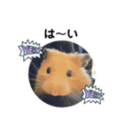 Y.animals（個別スタンプ：9）