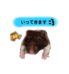 Y.animals（個別スタンプ：14）
