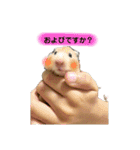 Y.animals（個別スタンプ：15）