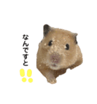 Y.animals（個別スタンプ：17）