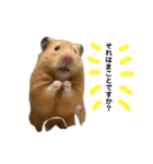 Y.animals（個別スタンプ：18）