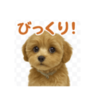まろの毎日スタンプ（まるぷー♀）（個別スタンプ：4）