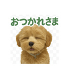 まろの毎日スタンプ（まるぷー♀）（個別スタンプ：5）