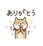 しばいぬ♡感情を伝える（個別スタンプ：6）