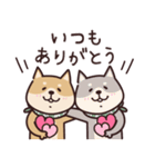 しばいぬ♡感情を伝える（個別スタンプ：8）