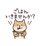 しばいぬ♡感情を伝える（個別スタンプ：19）