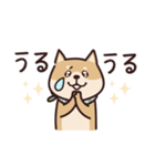 しばいぬ♡感情を伝える（個別スタンプ：22）