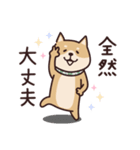 しばいぬ♡感情を伝える（個別スタンプ：24）