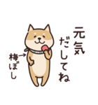 しばいぬ♡感情を伝える（個別スタンプ：31）