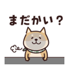 しばいぬ♡感情を伝える（個別スタンプ：35）