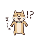 しばいぬ♡感情を伝える（個別スタンプ：36）