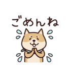 しばいぬ♡感情を伝える（個別スタンプ：37）