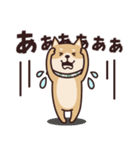 しばいぬ♡感情を伝える（個別スタンプ：38）