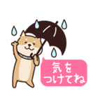 しばいぬ♡感情を伝える（個別スタンプ：39）