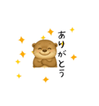 カワウソ日常スタンプ（個別スタンプ：25）