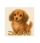 ふんわりダックス3姉妹（個別スタンプ：1）