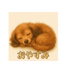 ふんわりダックス3姉妹（個別スタンプ：3）