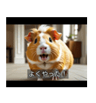 映画風 モルモット（個別スタンプ：2）