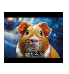 映画風 モルモット（個別スタンプ：3）