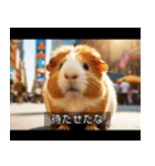 映画風 モルモット（個別スタンプ：5）