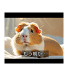 映画風 モルモット（個別スタンプ：6）
