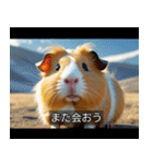 映画風 モルモット（個別スタンプ：7）