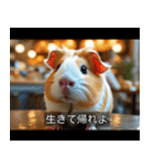 映画風 モルモット（個別スタンプ：8）