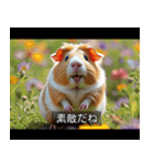 映画風 モルモット（個別スタンプ：12）