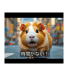 映画風 モルモット（個別スタンプ：17）