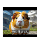 映画風 モルモット（個別スタンプ：20）