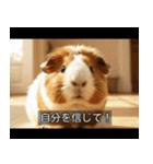 映画風 モルモット（個別スタンプ：22）
