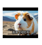 映画風 モルモット（個別スタンプ：27）