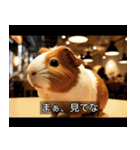 映画風 モルモット（個別スタンプ：29）