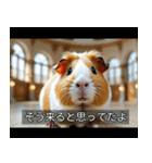 映画風 モルモット（個別スタンプ：31）