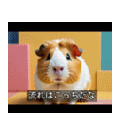 映画風 モルモット（個別スタンプ：33）