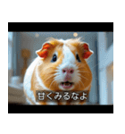 映画風 モルモット（個別スタンプ：34）