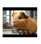 映画風 モルモット（個別スタンプ：37）
