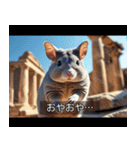 映画風 チンチラ（個別スタンプ：1）