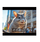 映画風 チンチラ（個別スタンプ：4）