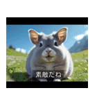 映画風 チンチラ（個別スタンプ：12）