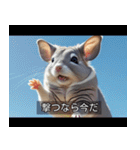 映画風 チンチラ（個別スタンプ：16）