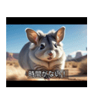 映画風 チンチラ（個別スタンプ：17）