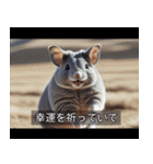 映画風 チンチラ（個別スタンプ：21）