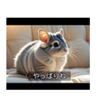 映画風 チンチラ（個別スタンプ：23）