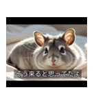 映画風 チンチラ（個別スタンプ：31）