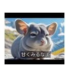 映画風 チンチラ（個別スタンプ：34）