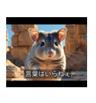 映画風 チンチラ（個別スタンプ：36）