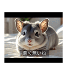 映画風 チンチラ（個別スタンプ：37）