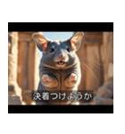 映画風 チンチラ（個別スタンプ：40）